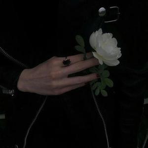 欧美亚洲精品无🈚视屏
